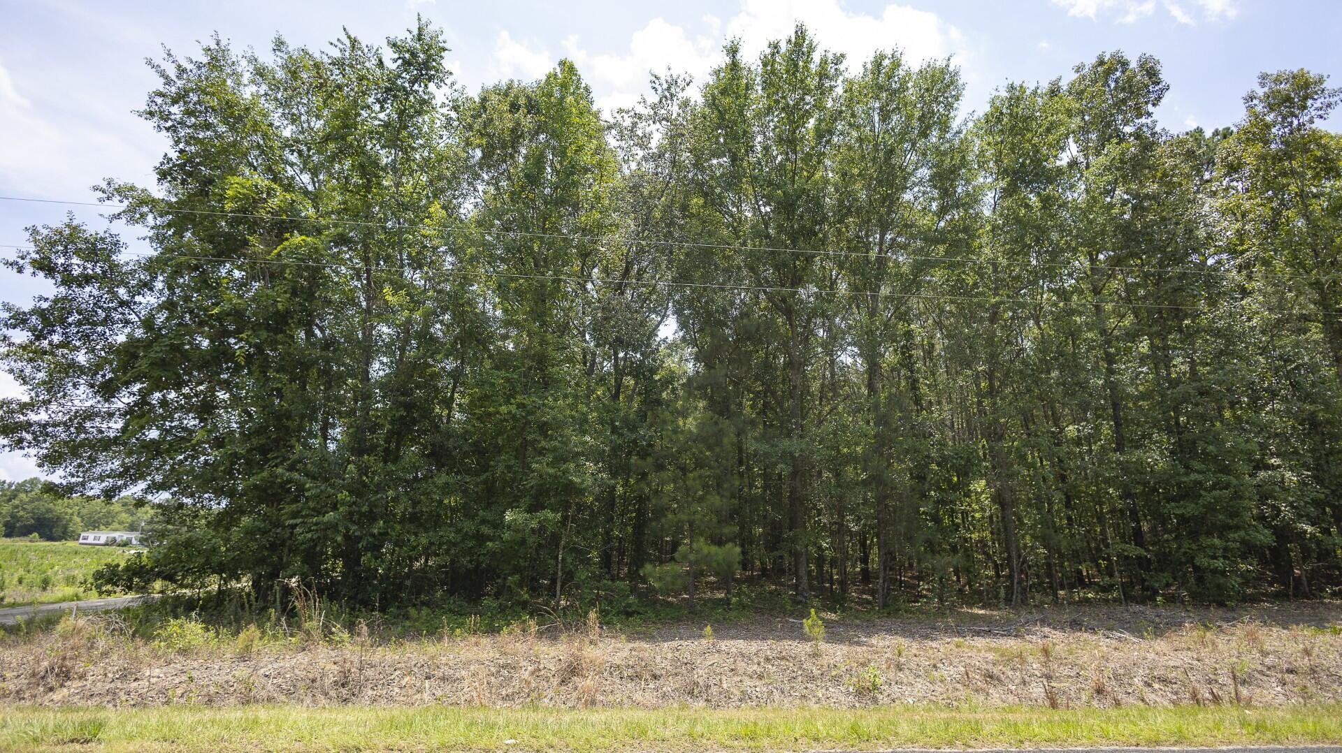 2 Joseph Lemon And Dingle Road Manning, SC 29102 - Photo 10 of 44