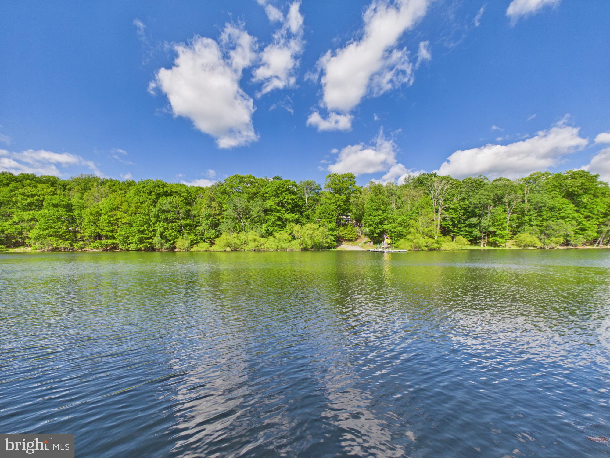 477 Finn Swamp Road Lakeville, PA 18438 - Photo 20 of 53 View across the dock