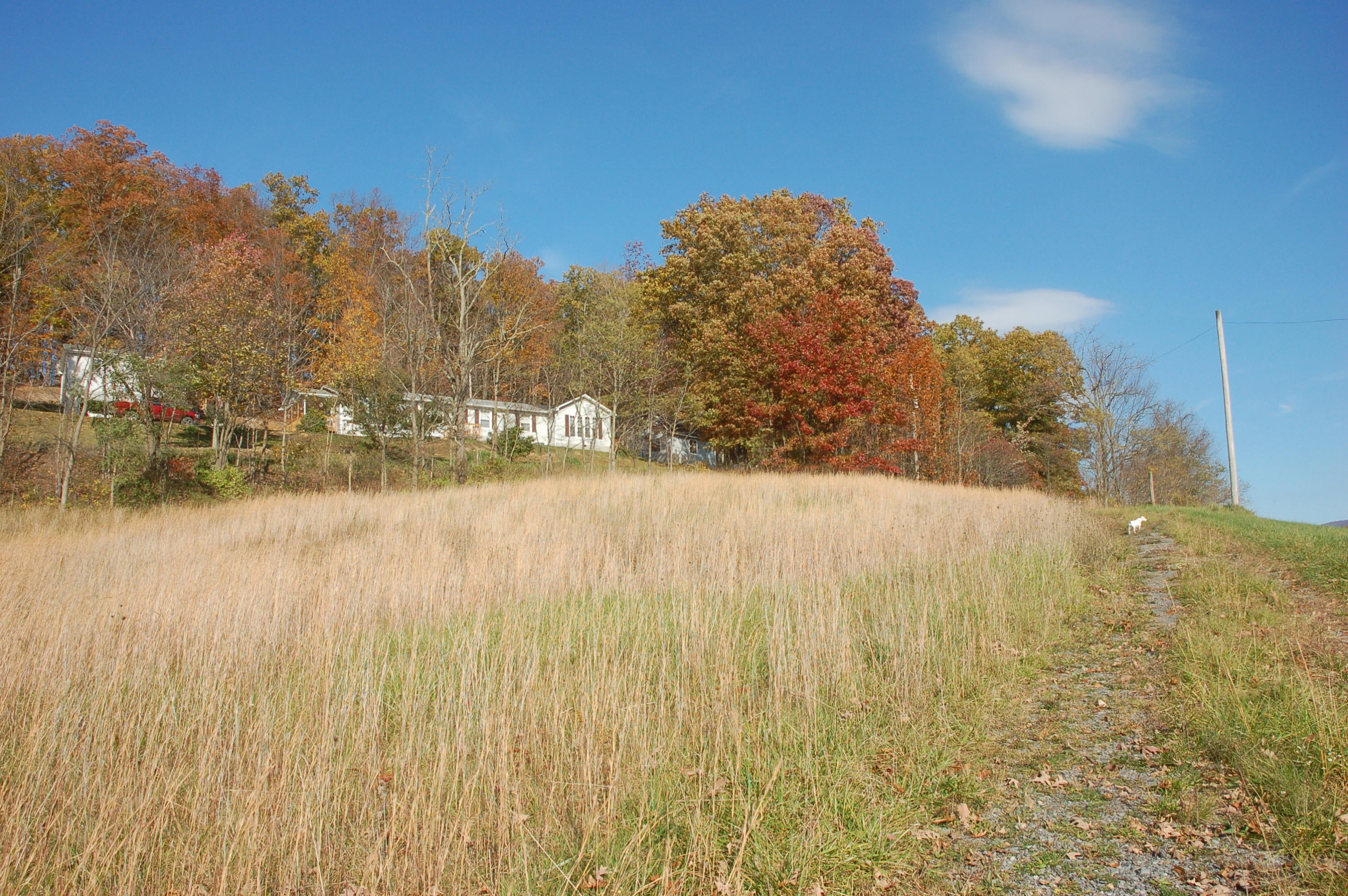 100 Charley Ballard Road Lindside, WV 24951 - Photo 13 of 16 Gallery Image 13