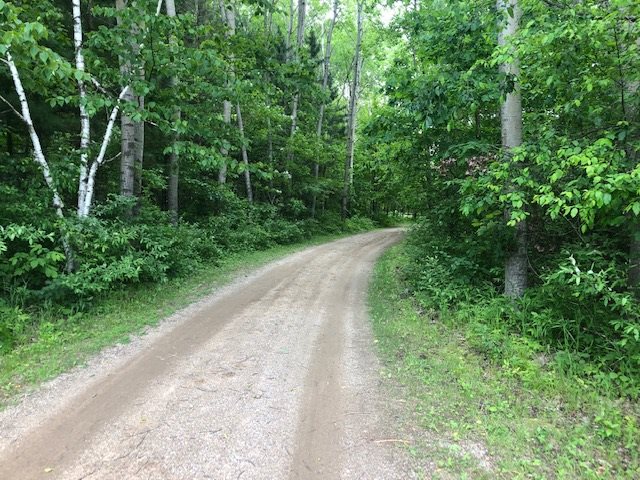391 South Johnson Road Weidman, MI 48893 - Photo 42 of 44 1862942-41.JPG