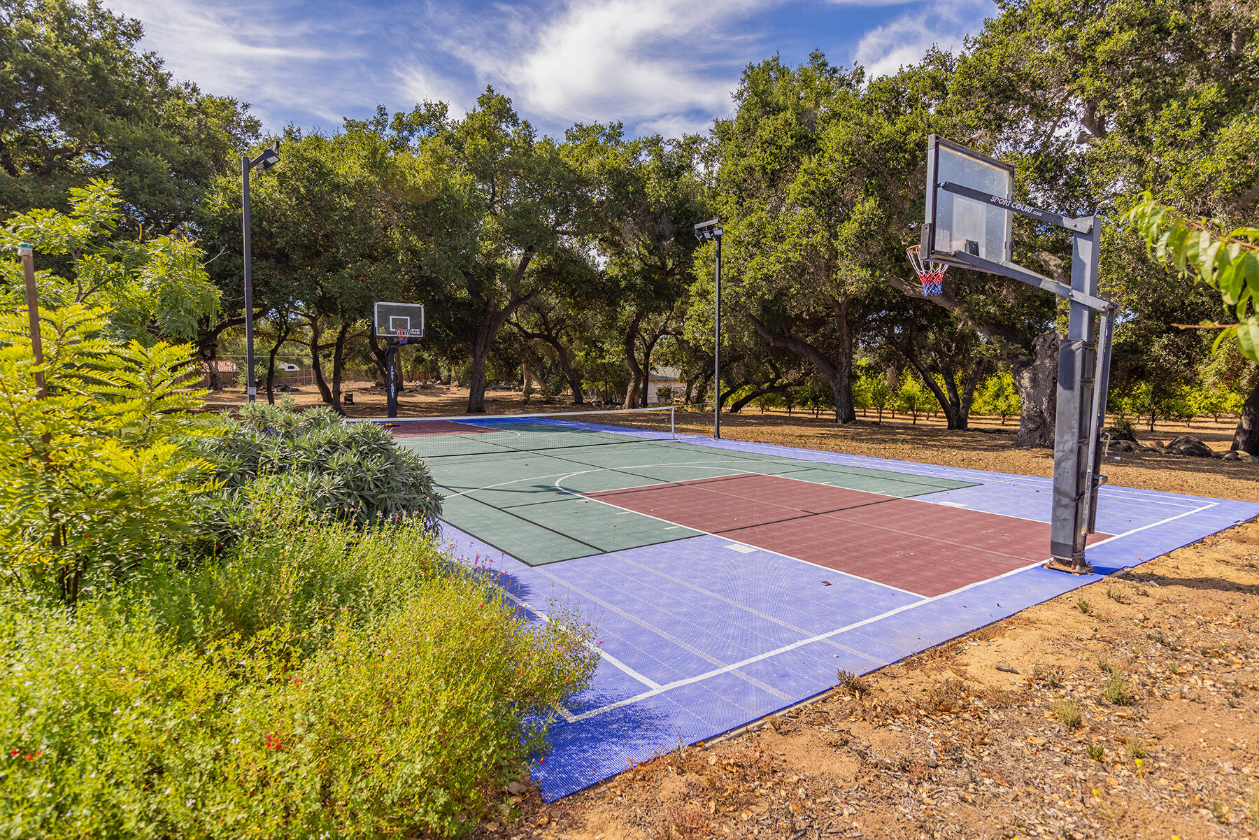 705 South Rice Road Ojai, CA 93023 - Photo 40 of 61 a view of a tennis ground with large trees