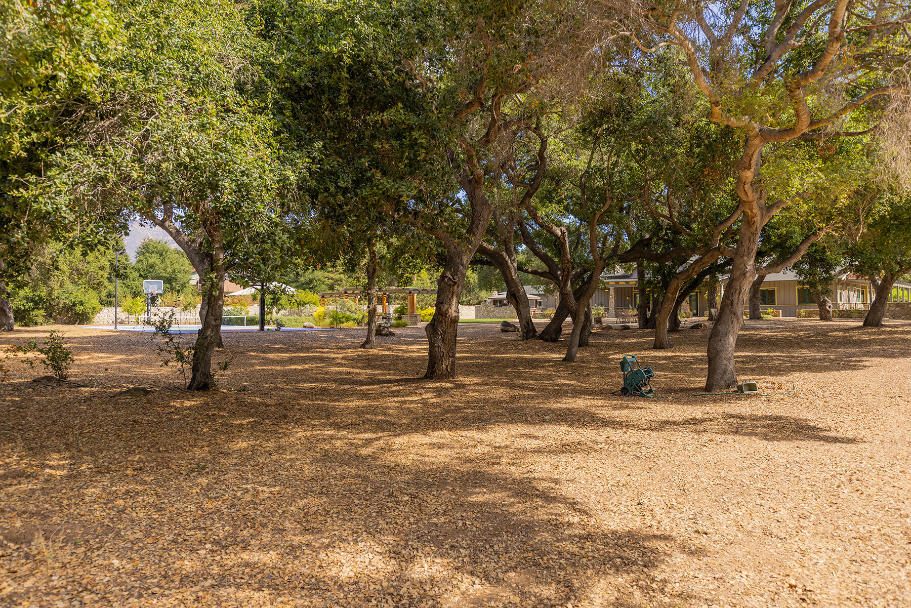 705 South Rice Road Ojai, CA 93023 - Photo 42 of 61 S8C_705 S Rice_080