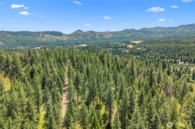 a view of outdoor space and yard