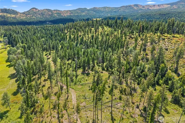 a view of a yard with fountain
