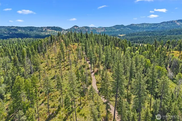 a view of a green field with lots of bushes