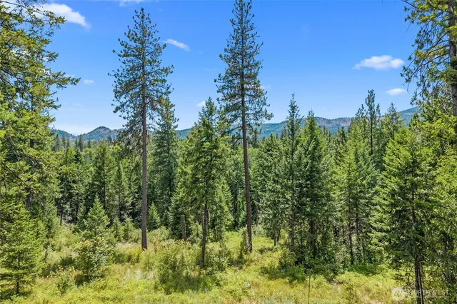 a view of a lake with mountains in the background