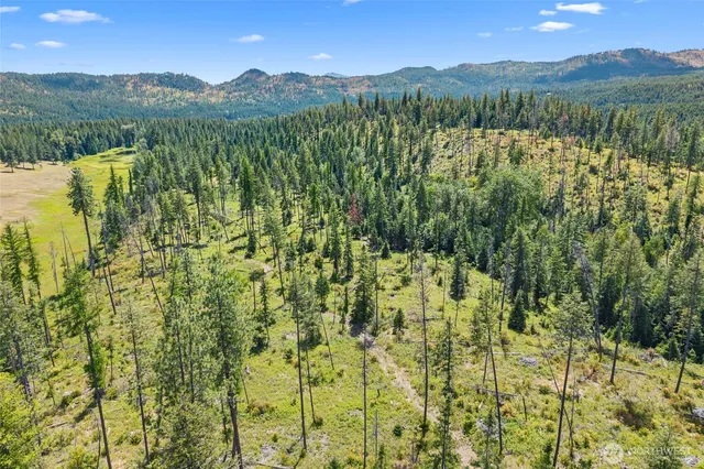 a view of a yard with a tree