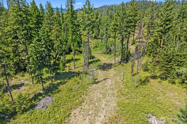 a view of a large yard with lots of bushes