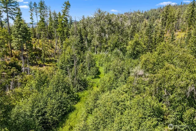 a view of a large yard with lots of green space