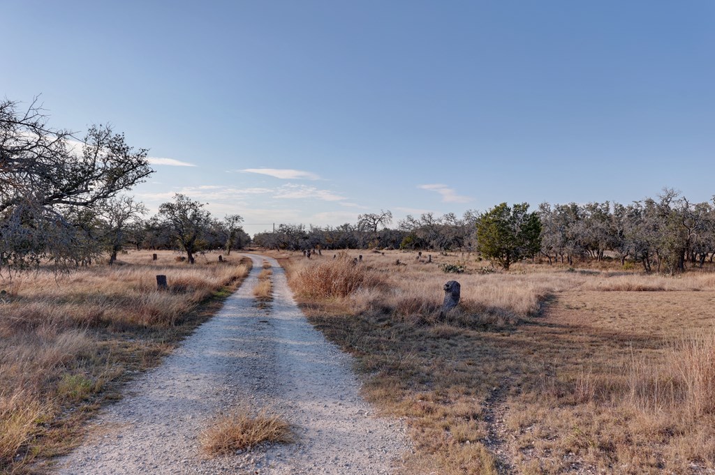 88 Wendel Road Harper, TX 78631 - Photo 4 of 20 a view of a lake with houses in back