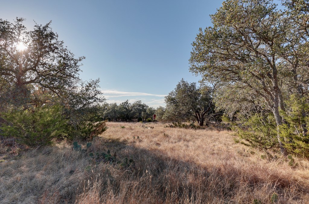 88 Wendel Road Harper, TX 78631 - Photo 5 of 20 a view of a dry yard with trees