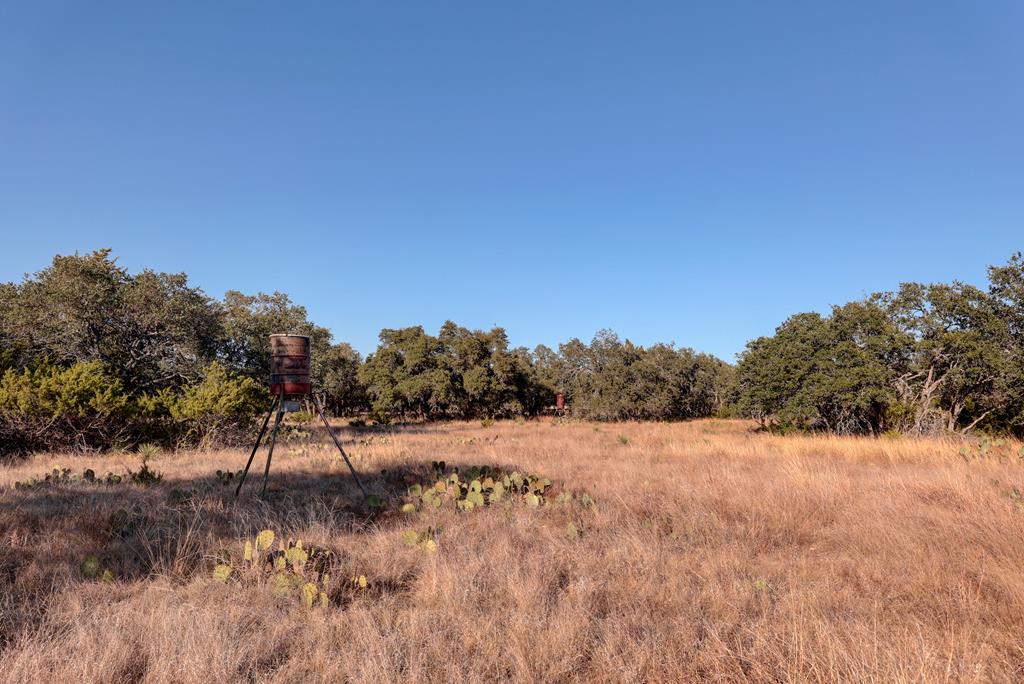 88 Wendel Road Harper, TX 78631 - Photo 7 of 20 a view of mountain view with trees
