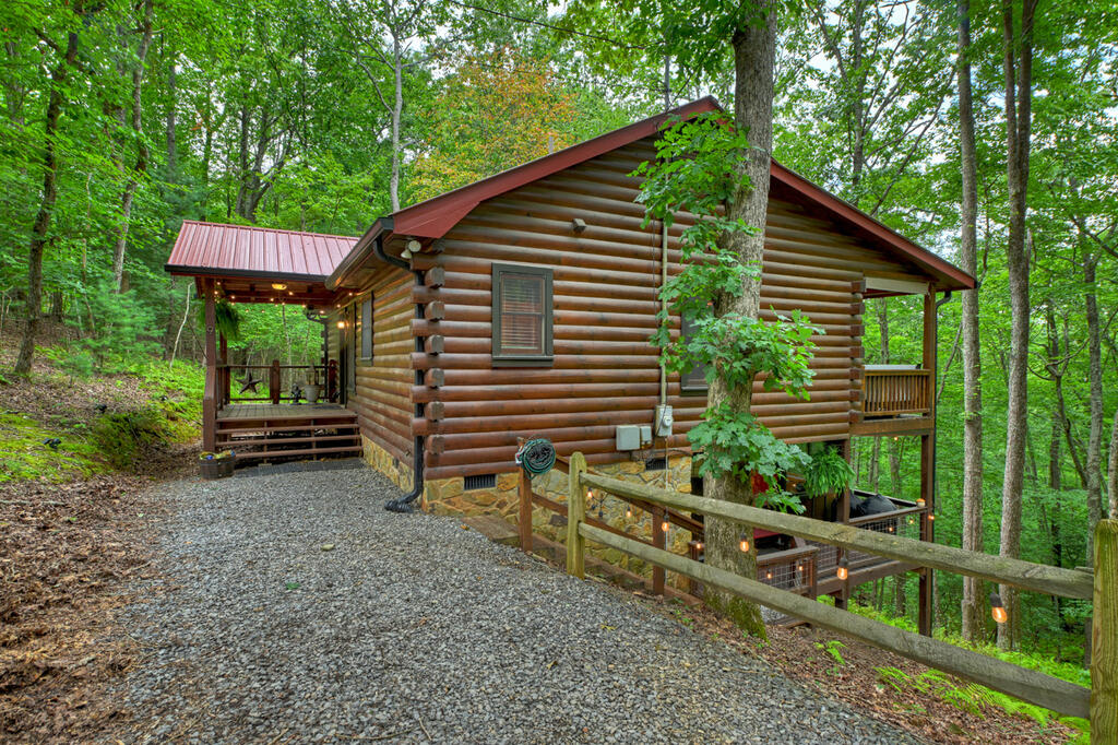 9 Casey Court Blue Ridge, GA 30513 - Photo 2 of 52 Gallery Image 2