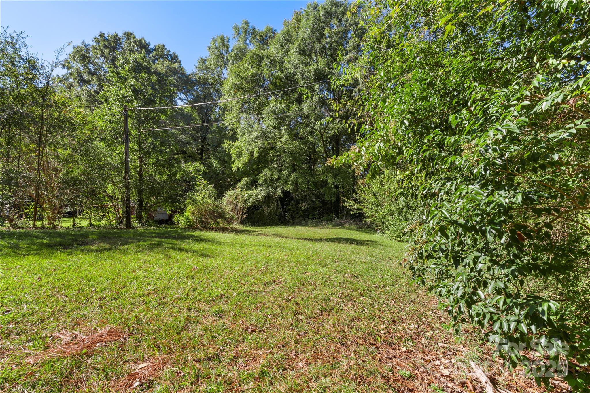 1428 Boxwood Avenue Lancaster, SC 29720 - Photo 39 of 44 a view of outdoor space and yard