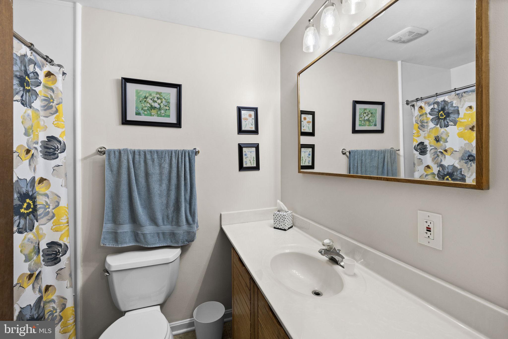 11822 Rutherford Drive Fredericksburg, VA 22407 - Photo 27 of 37 Upper Level Hall Bath