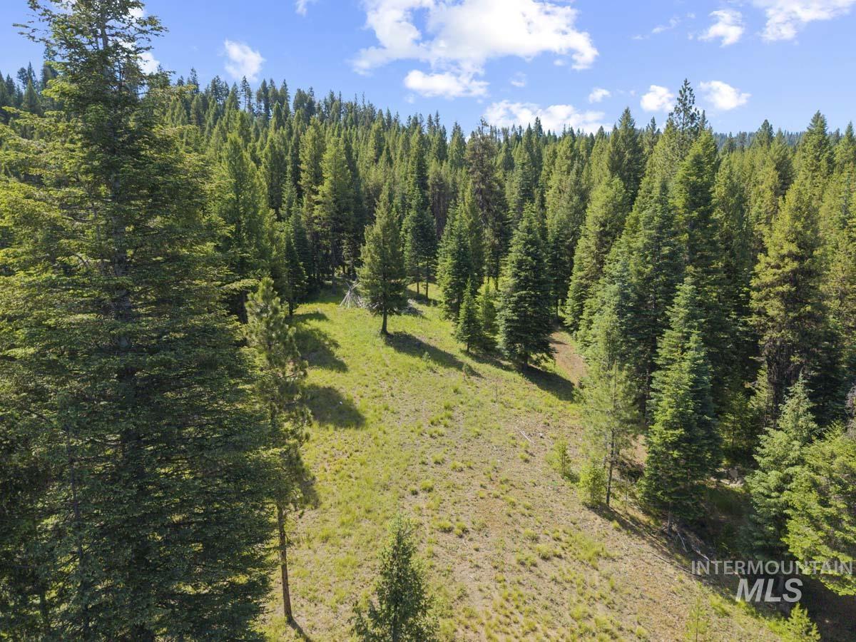 178 Tripod View Drive Cascade, ID 83611 - Photo 18 of 35
