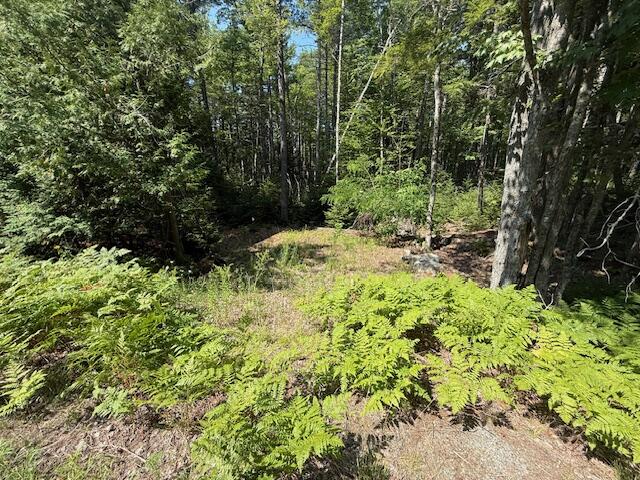 377 Front Ridge Road Penobscot, ME 04476 - Photo 5 of 6 IMG_4438