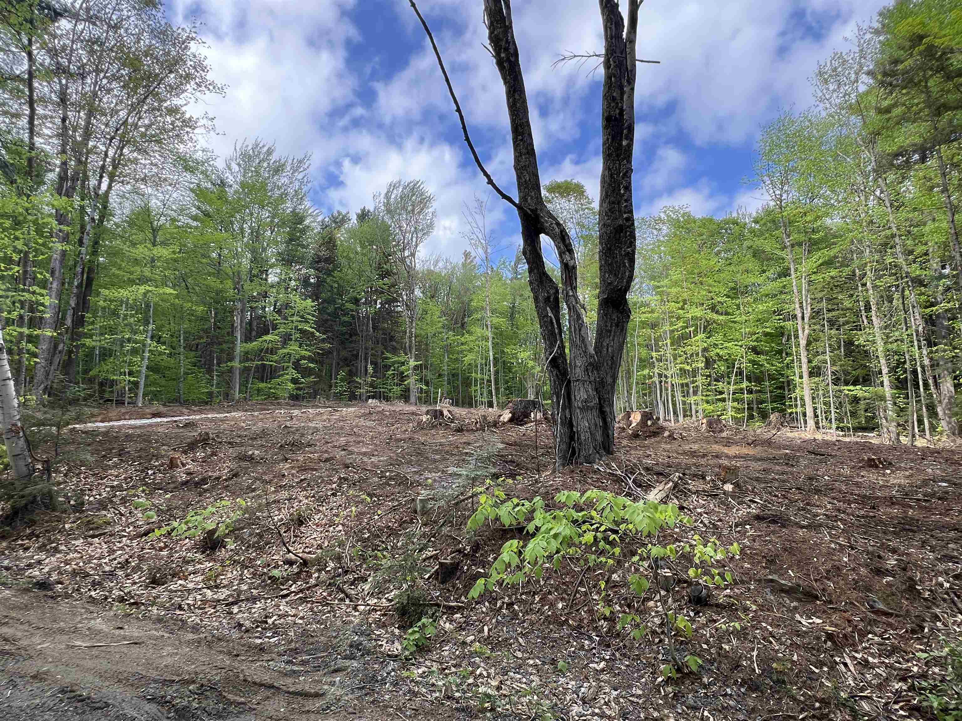 170 Maple Drive Wardsboro, VT 05360 - Photo 6 of 26