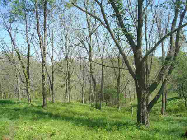 Lot 18 Secluded Ridge Tipton, IA 52772 - Photo 9 of 18 Gallery Image 9