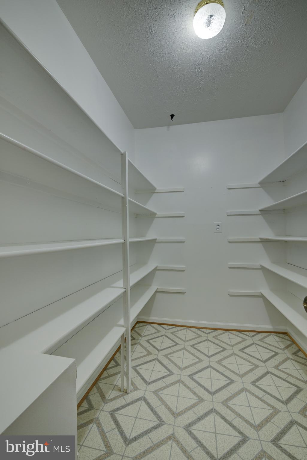 49 Carrollton Road Sterling, VA 20165 - Photo 32 of 61 Large walk in pantry