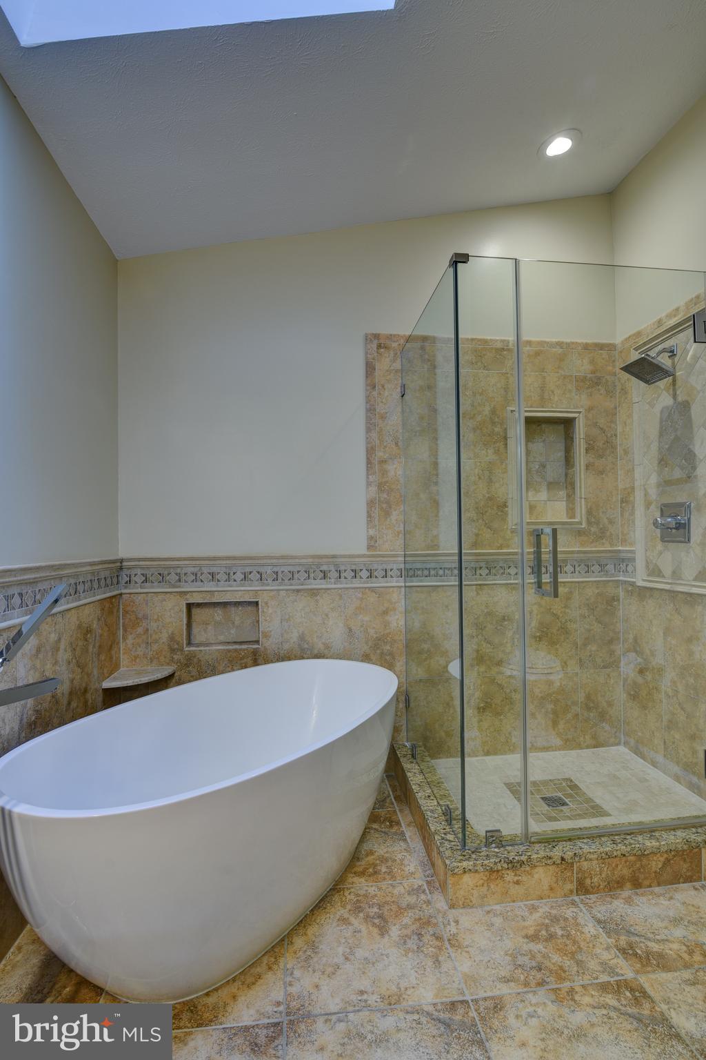 49 Carrollton Road Sterling, VA 20165 - Photo 38 of 61 Check out this shower!