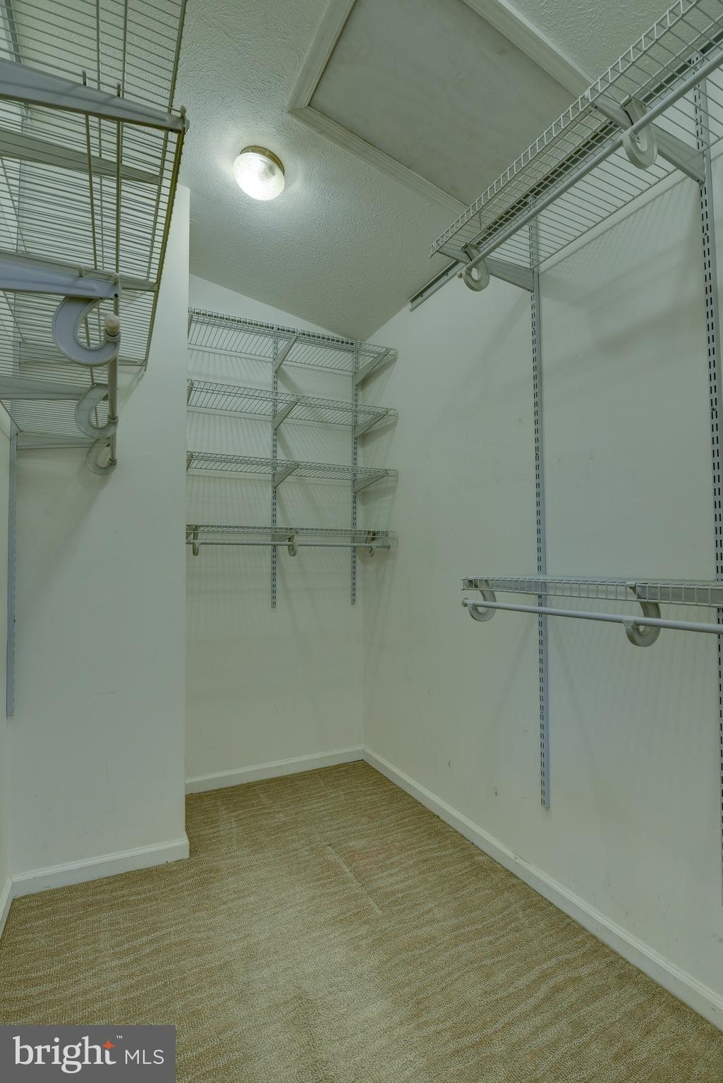 49 Carrollton Road Sterling, VA 20165 - Photo 40 of 61 Primary walk in closet