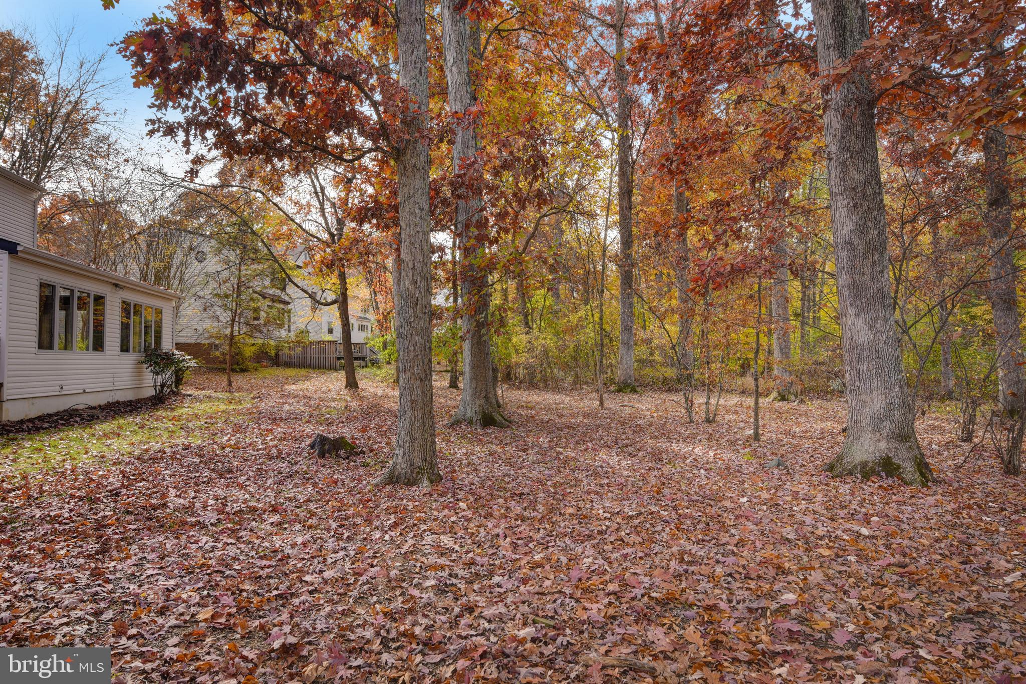 49 Carrollton Road Sterling, VA 20165 - Photo 59 of 61