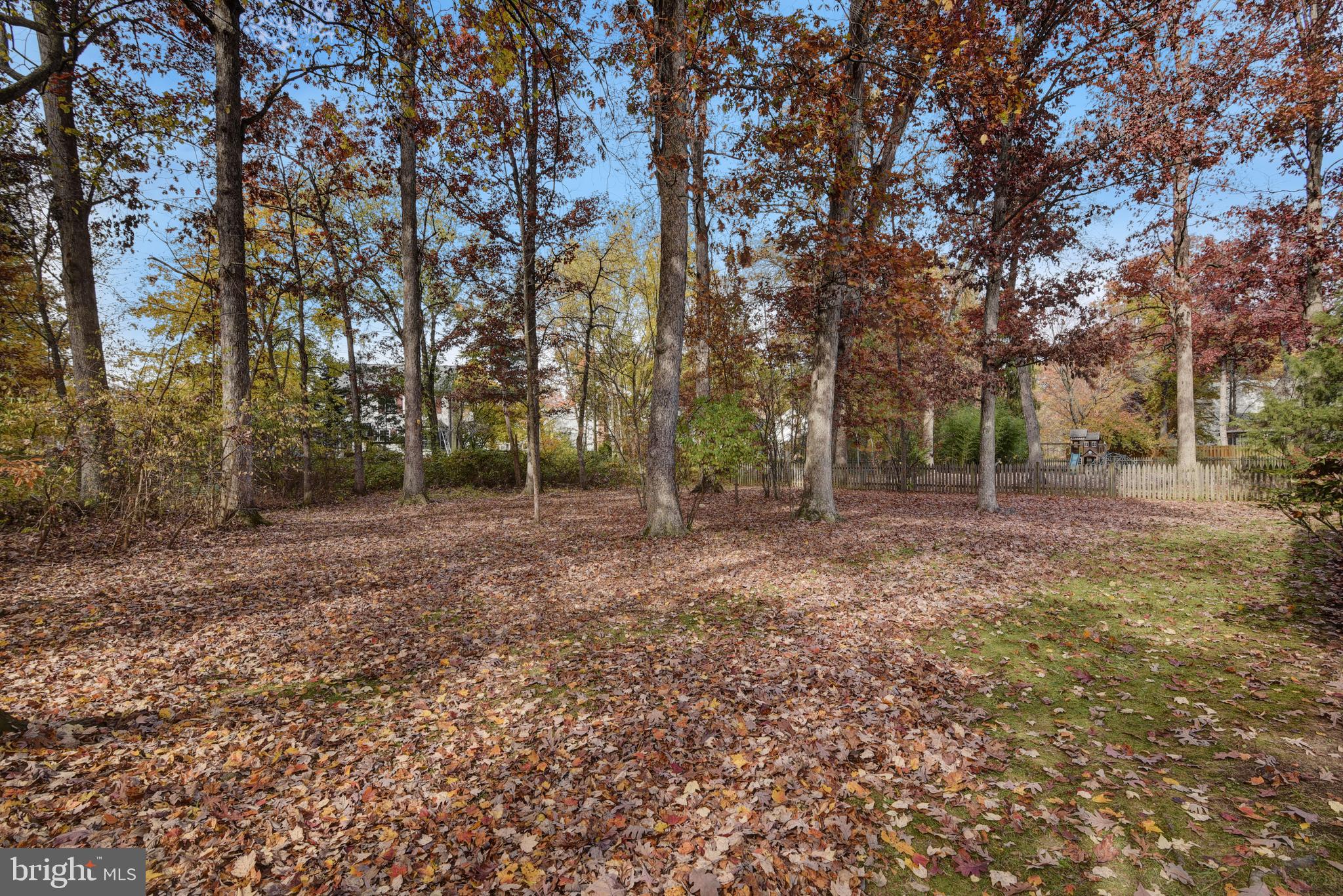 49 Carrollton Road Sterling, VA 20165 - Photo 60 of 61