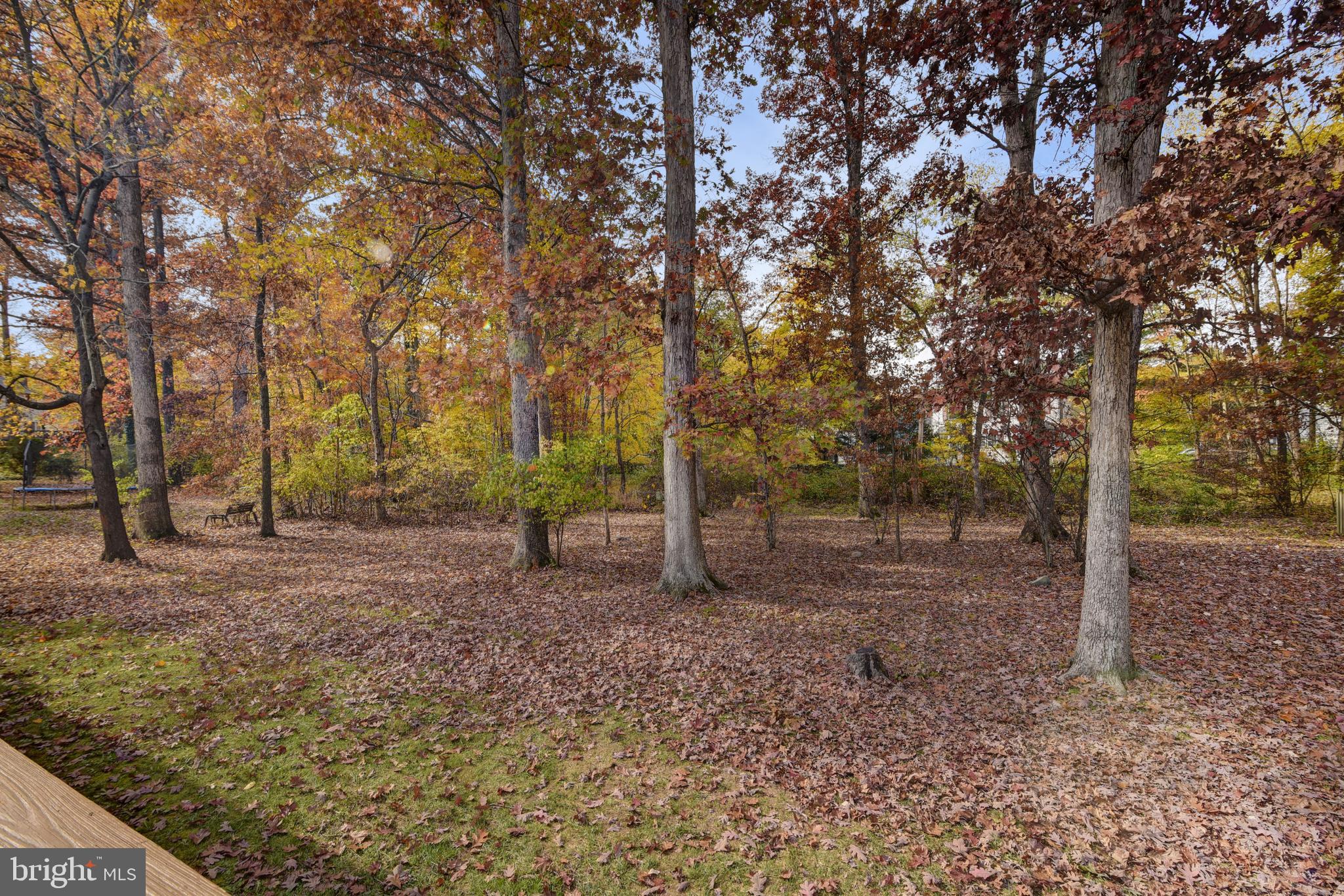 49 Carrollton Road Sterling, VA 20165 - Photo 61 of 61