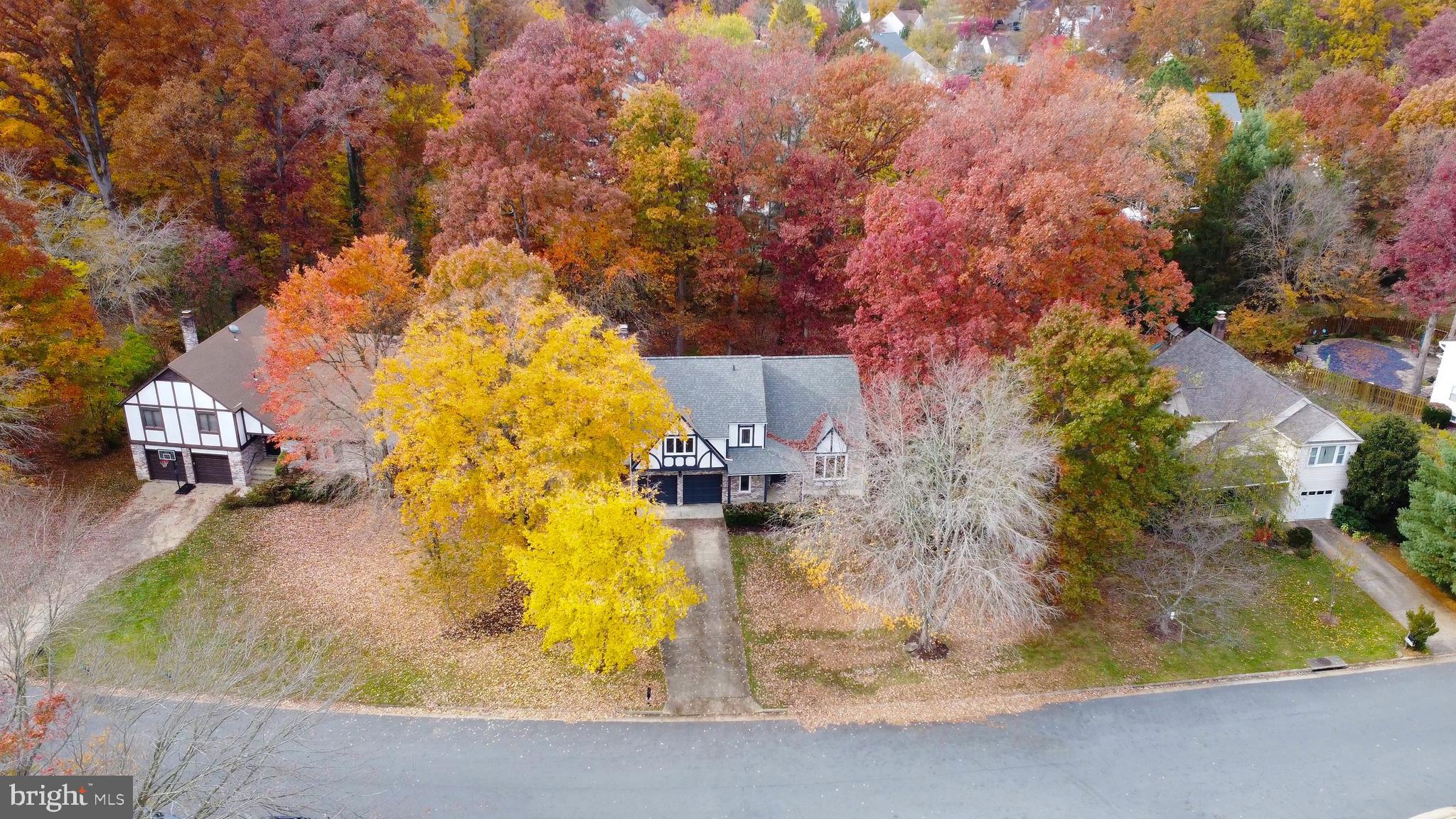 49 Carrollton Road Sterling, VA 20165 - Photo 7 of 61