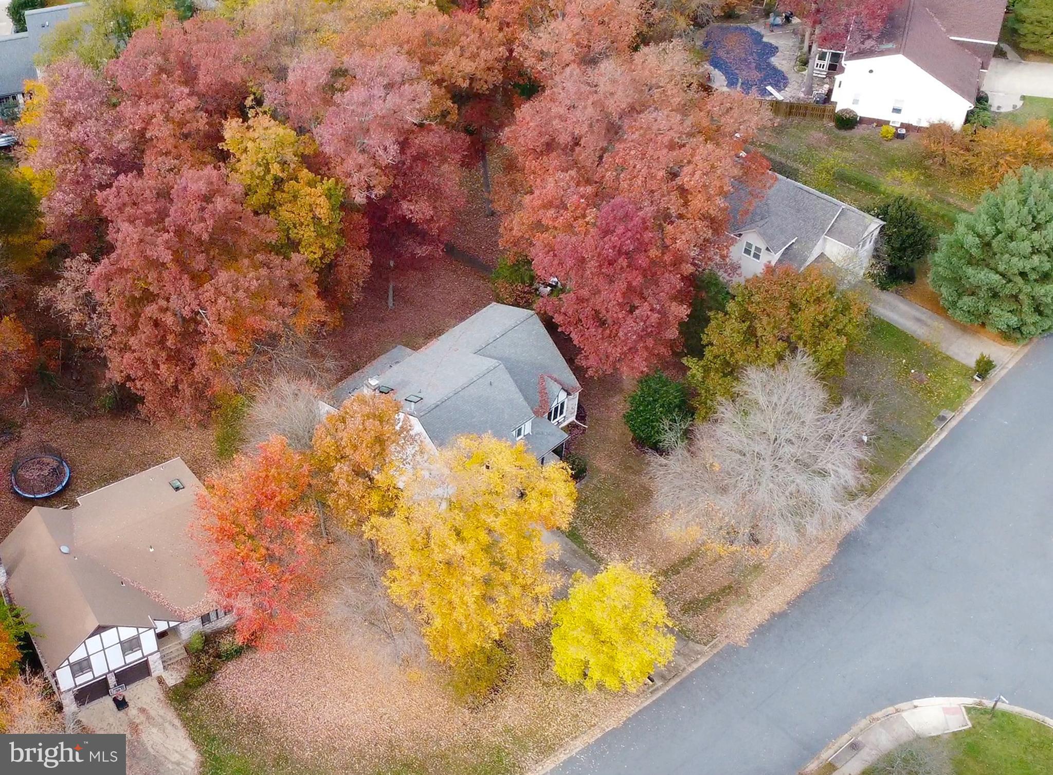 49 Carrollton Road Sterling, VA 20165 - Photo 8 of 61