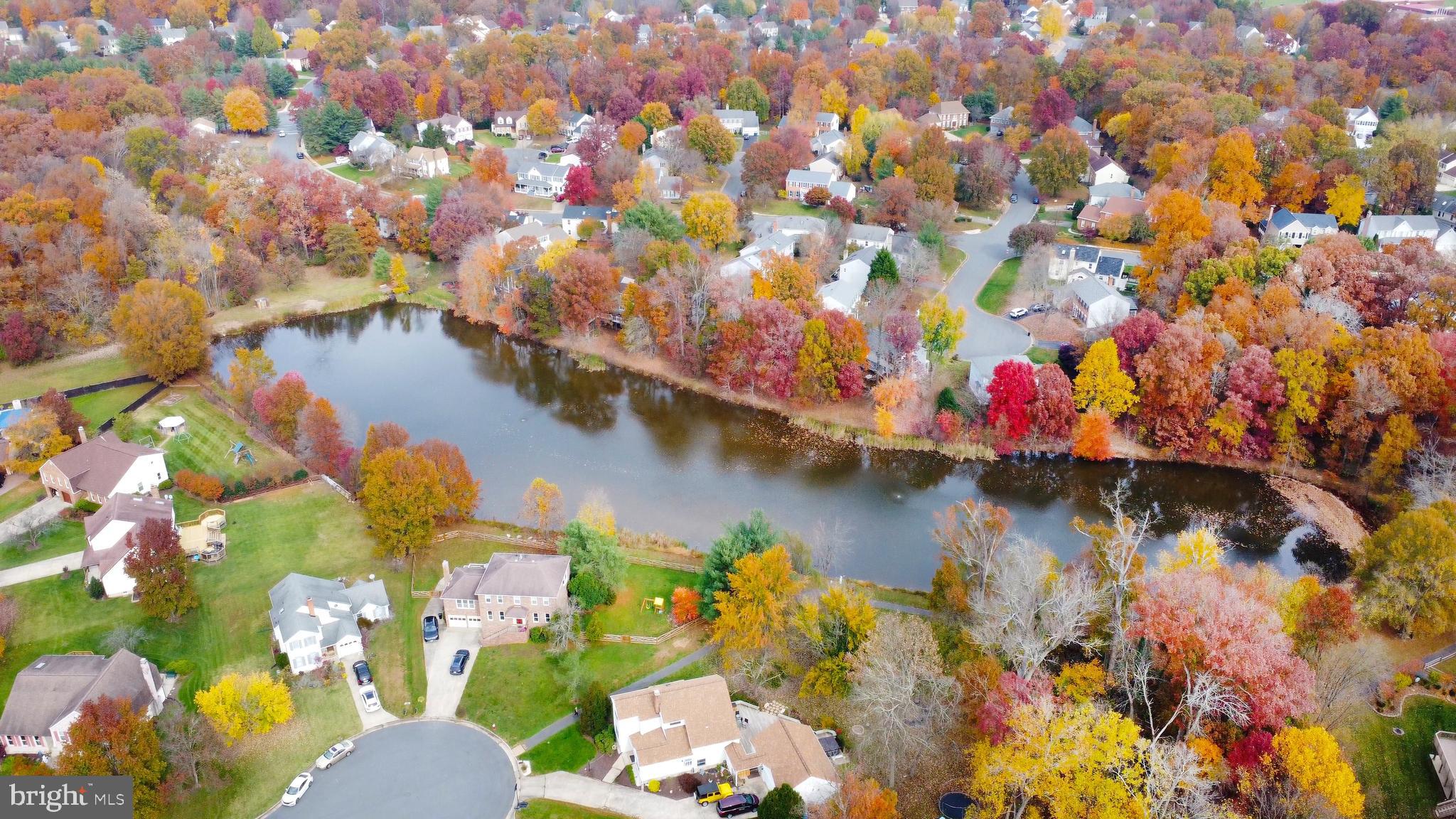49 Carrollton Road Sterling, VA 20165 - Photo 9 of 61 Enjoy the catch & release pond across the street