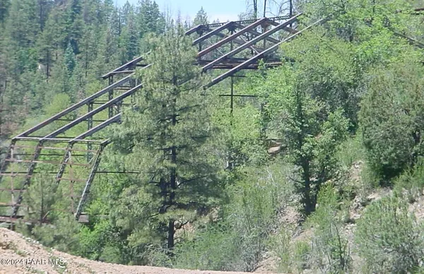 a bird view of tall trees