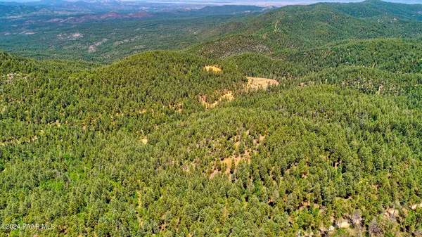 a view of a field with an ocean view