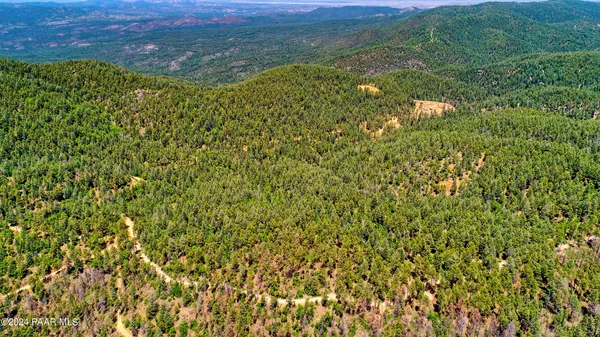 a view of a big yard with lots of bushes