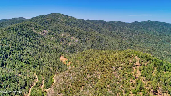 a view of a mountain range with trees in the background