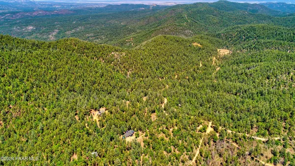 a view of a big yard with plants and large trees