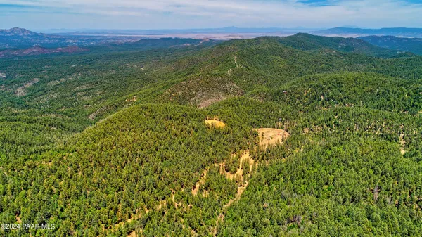 a view of a field with an ocean