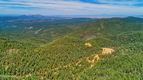 a view of a lush green forest with a mountain