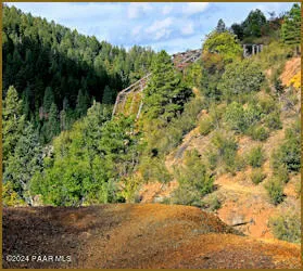 a view of a large yard with lots of green space