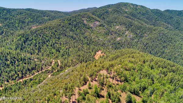 a view of a field with a tree