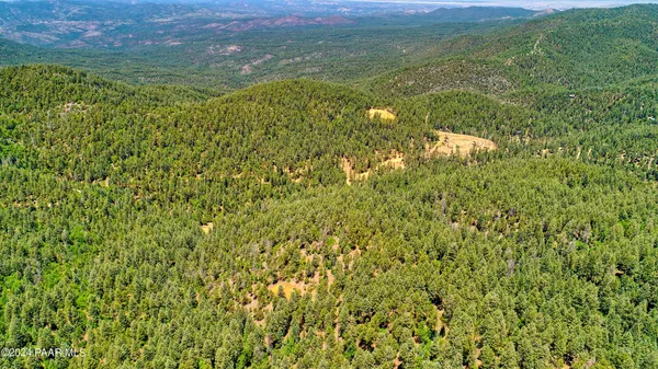 a view of a field with an ocean
