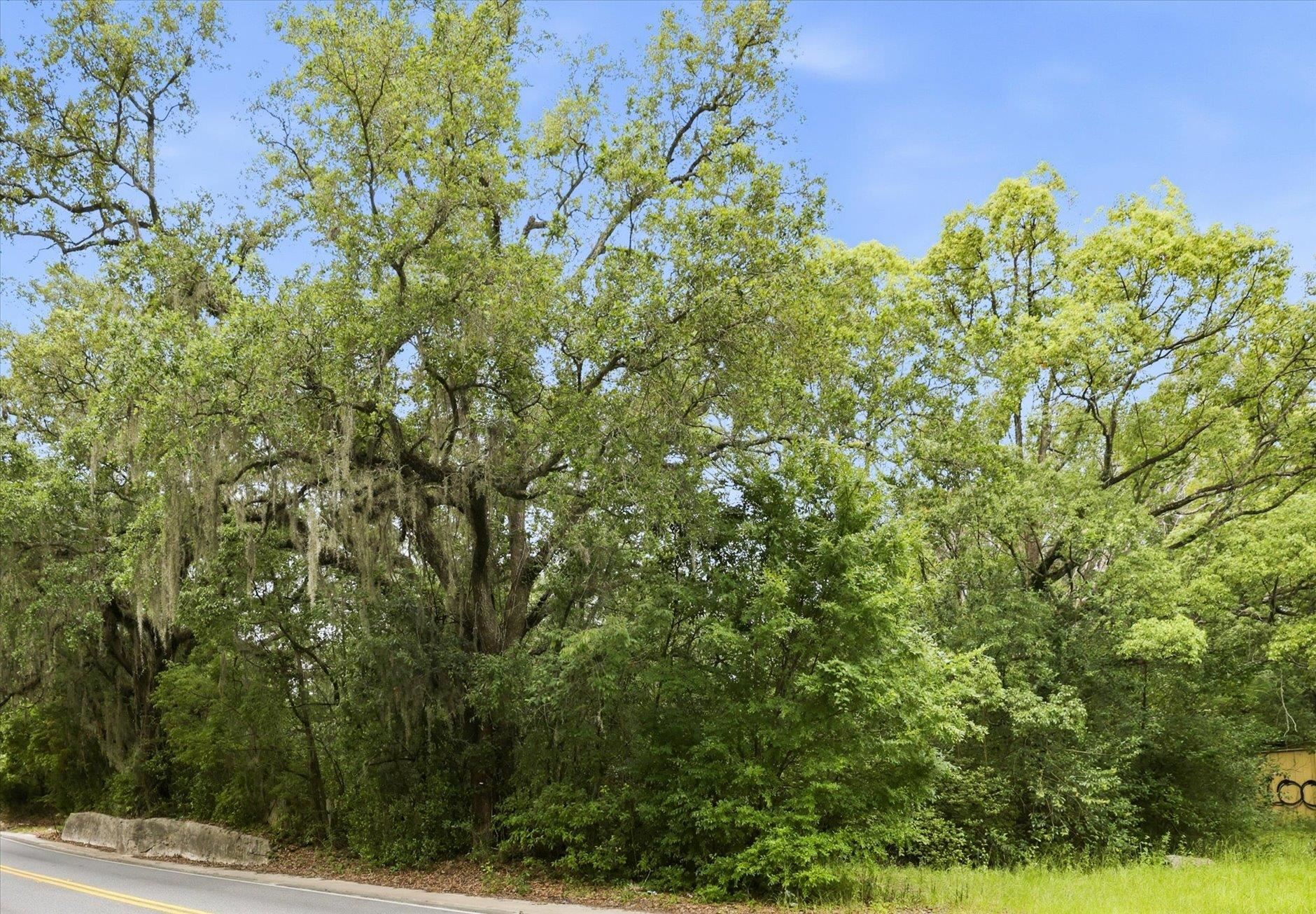 1612 Old Bainbridge Road Tallahassee, FL 32303 - Photo 35 of 43