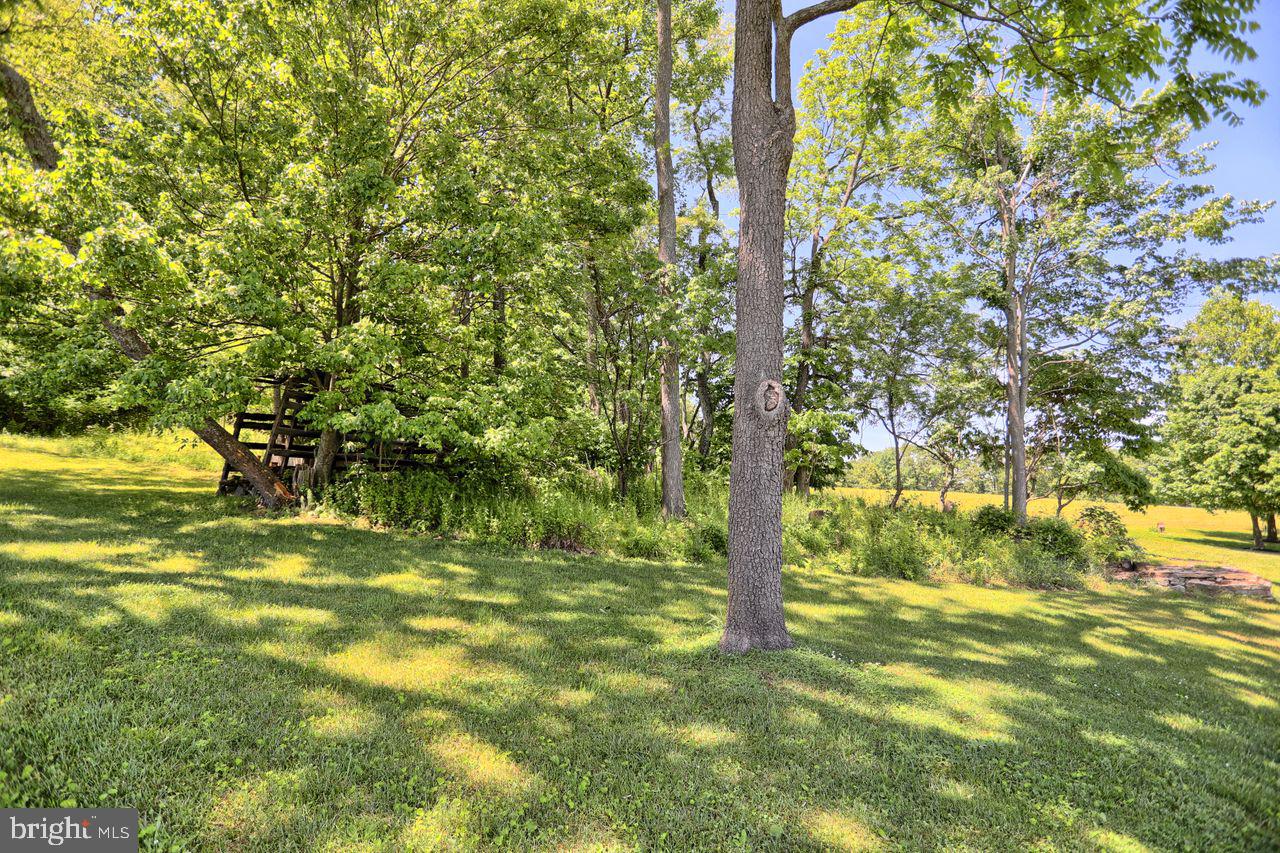 340 Rambo Hill Road Shermans Dale, PA 17090 - Photo 26 of 82 Gallery Image 26