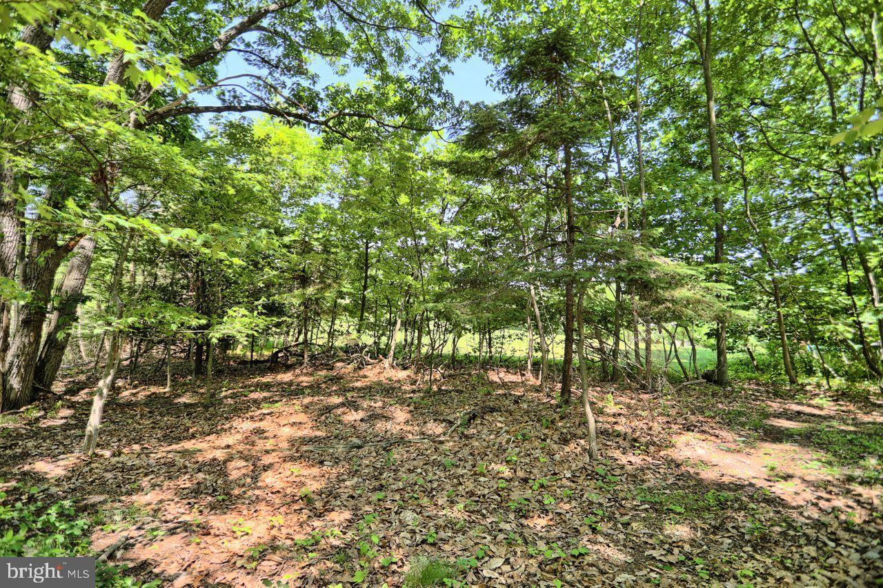 340 Rambo Hill Road Shermans Dale, PA 17090 - Photo 28 of 82 Gallery Image 28
