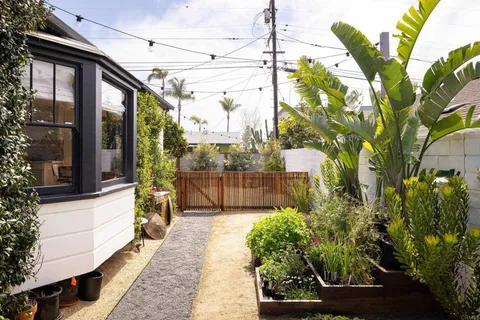 a potted plant sitting in front of a house