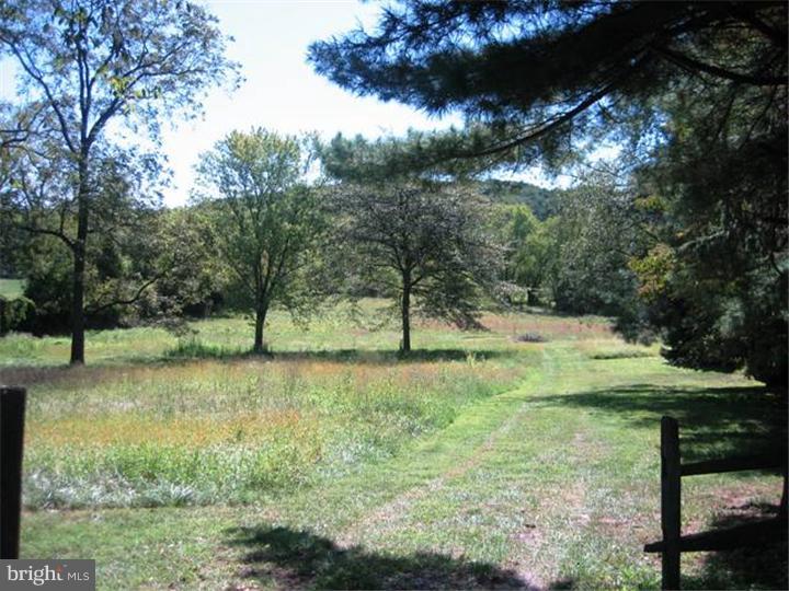 950 Street Road West Chester, PA 19382 - Photo 20 of 25 Side Yard