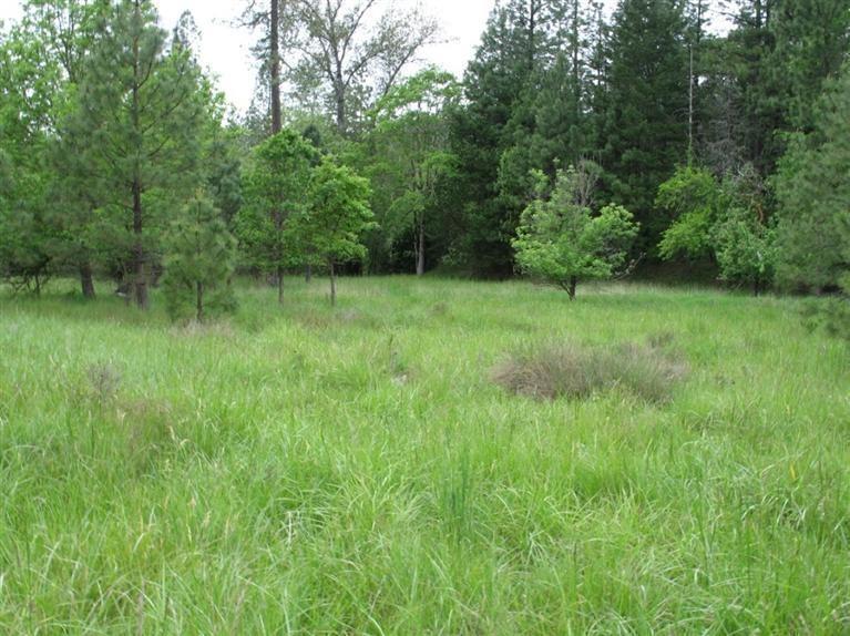 0 Jack Creek Road Grants Pass, OR 97526 - Photo 15 of 25 Part of the grassy field. One of the fo