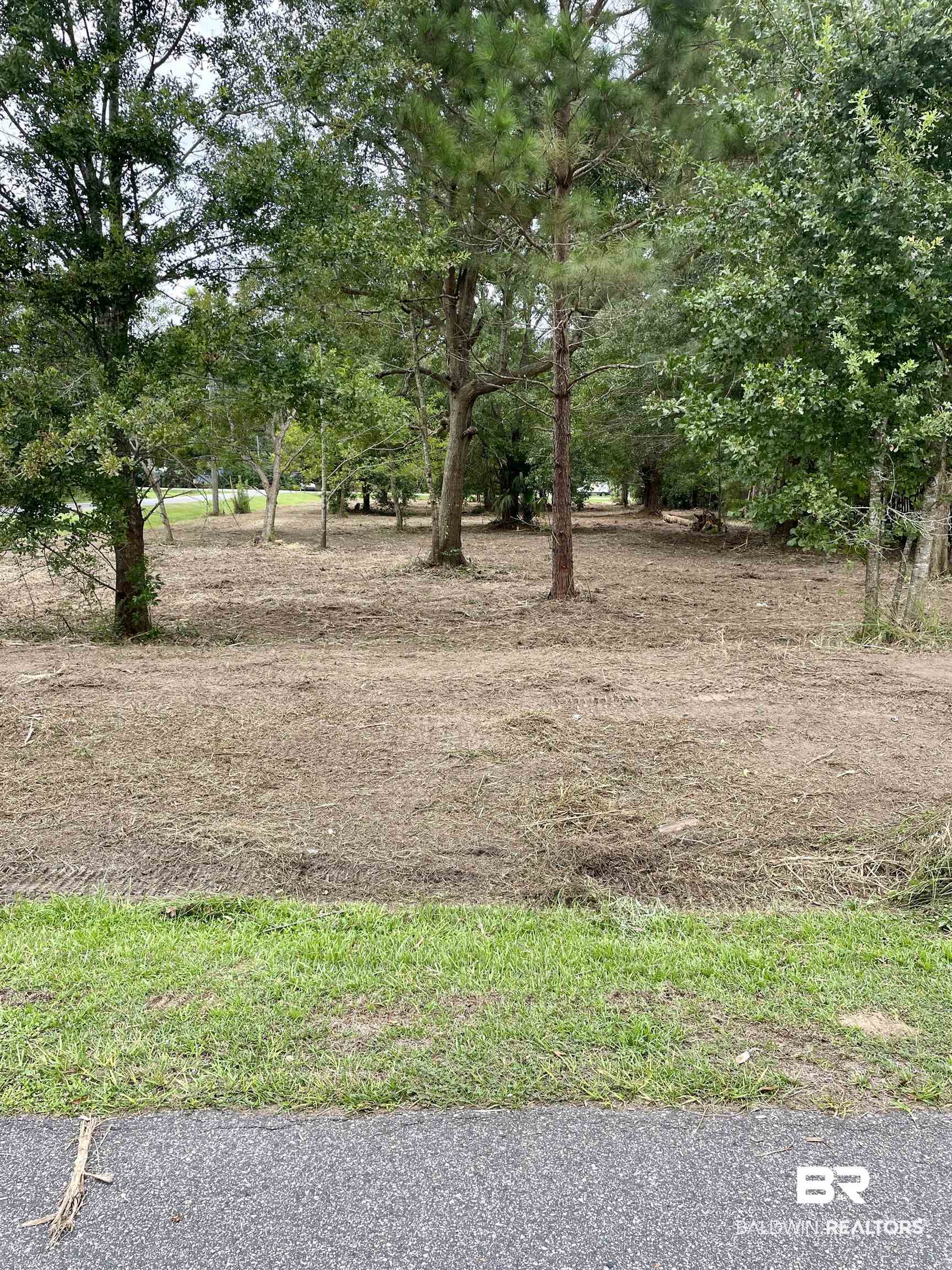 0 Illinois Street Elberta, AL 36530 - Photo 4 of 10