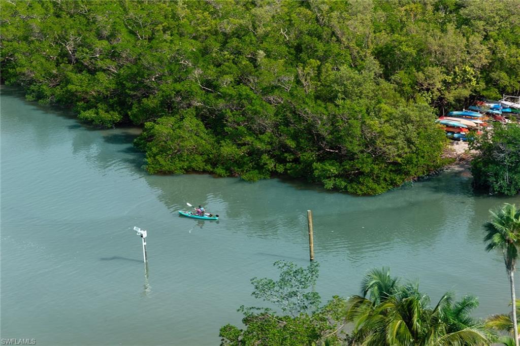60 Seagate Drive, Unit 1606 Naples, FL 34103 - Photo 35 of 44 a view of a lake with a tree
